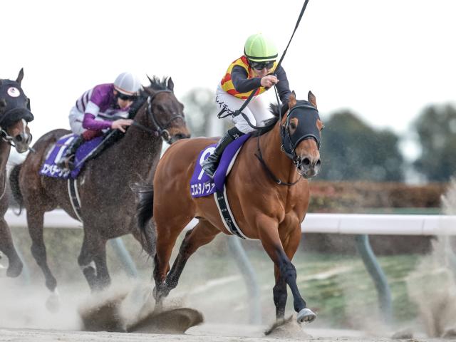 【船橋・かしわ記念枠順】フェブラリーS覇者コスタノヴァは7枠7番、連覇狙うシャマルは5枠5番