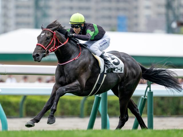 【京都新聞杯想定馬・騎手】キングスコール、エムズなど11頭