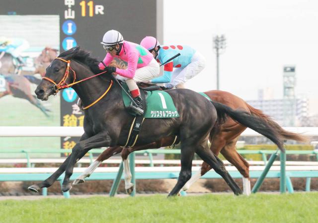 クリスタルブラックが競走馬登録抹消　20年京成杯制覇　乗馬へ