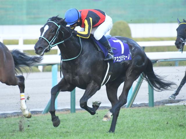 【ヴィクトリアM想定馬・騎手】アスコリピチェーノ、ステレンボッシュなど24頭