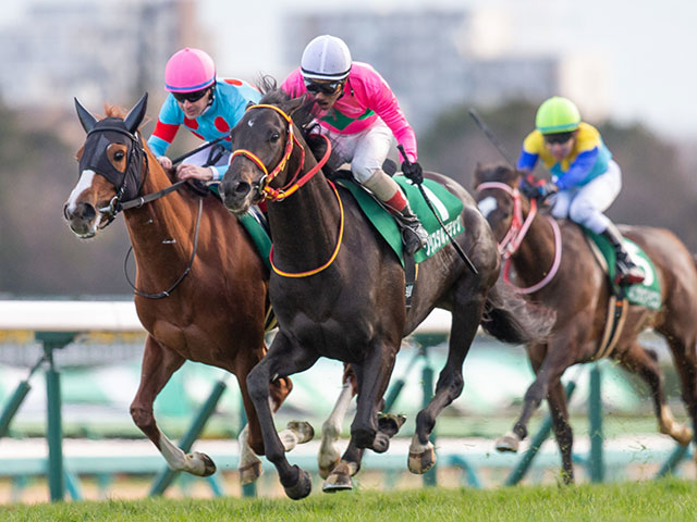 20年京成杯を制したクリスタルブラックが登録抹消 今後は乗馬に