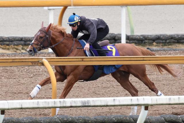 【天皇賞・春】(14)ビザンチンドリーム　坂口師は期待「後ろでリズム良く運べれば」