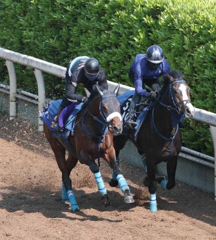 【天皇賞・春】(3)ブローザホーン　2度目のG1制覇へ!　最多13勝の“好枠”で並びも吉