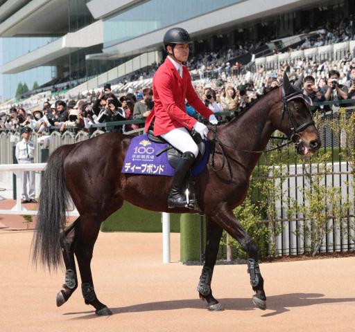 ディープボンド　京都1Rで誘導馬デビュー