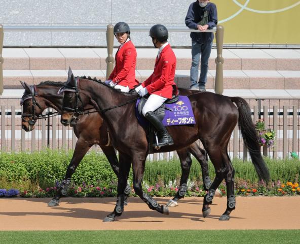 誘導馬デビューのディープボンドが現役時代の調教役・谷口助手と再会　「感動…。一番の誘導馬になってほしい」