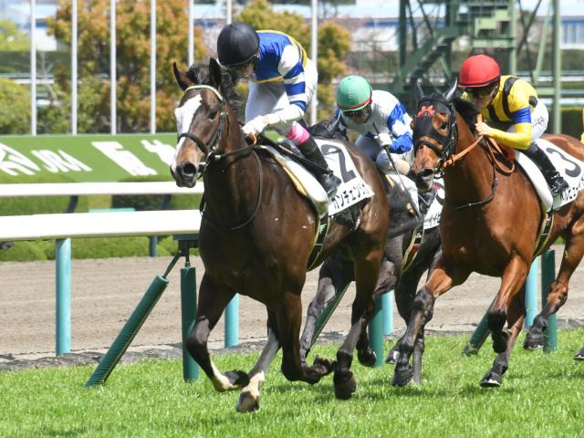 京王杯SCは外枠の差し馬に注 穴ならカンチェンジュンガ