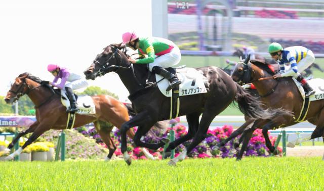 【京都6R・3歳1勝クラス】1番人気タガノアンファンが直線一気　菱田裕二騎手「返し馬でさらに良くなったと感じました」