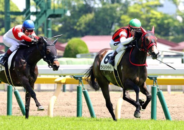 【東京5R・3歳1勝クラス】ウイントワイライトが堂々の無傷2連勝　戸崎圭太騎手「いいスピードを見せてくれた」