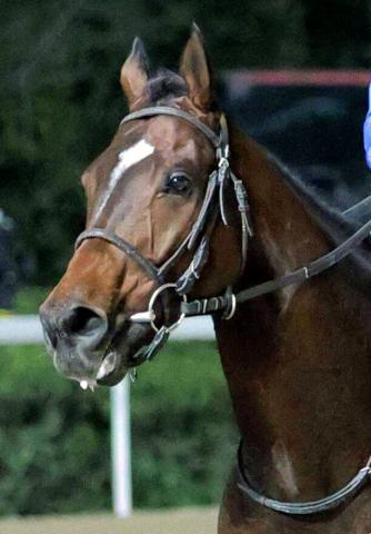 【名古屋グランプリ】武豊騎手と3戦ぶりにタッグの中舘厩舎ノットゥルノは7枠10番から連覇を目指す　枠順決定