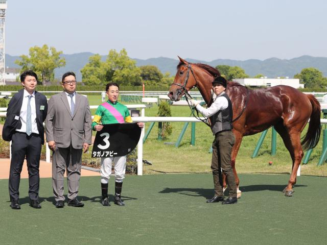 【矢車賞レース後コメント】タガノアビー藤岡佑介騎手ら