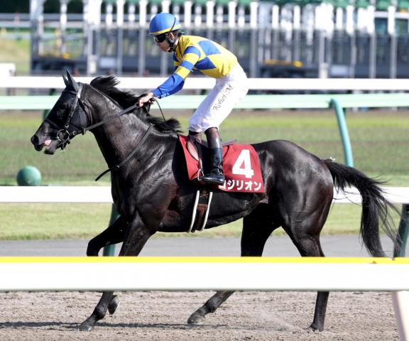 【京王杯スプリングC】唯一の4歳馬ロジリオンは3着　松山弘平騎手「どこかでチャンスがありそう」