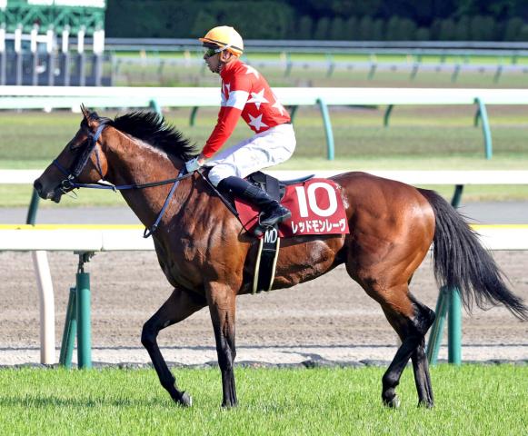 【京王杯スプリングC】ディー騎手のJRA重賞初騎乗はレッドモンレーヴで4着「1ハロン延ばしてもいいかも」