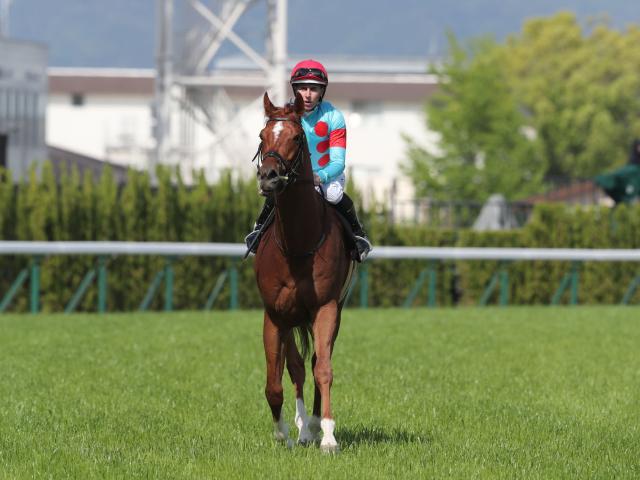 【御池特別レース後コメント】グロリアラウス D.レーン騎手ら