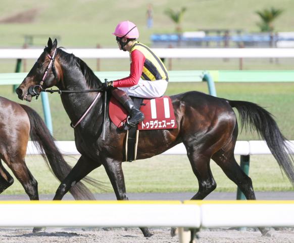 【京王杯スプリングC】10歳馬トゥラヴェスーラは6着　三浦皇成騎手「馬場が硬くて前が止まらなかった」