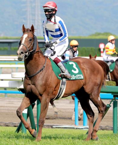 【ユニコーンS】6着ナンヨーパワフルを鮫島克駿騎手は評価「相手が強くなっても、相手なりに走ってくれます」