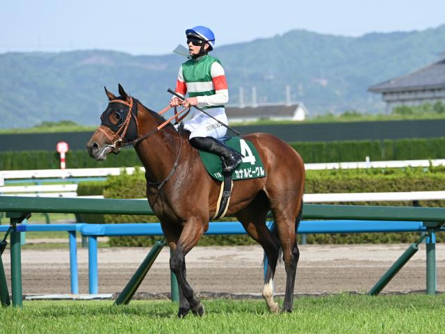 【ユニコーンSレース後コメント】カナルビーグル吉村誠之助騎手ら