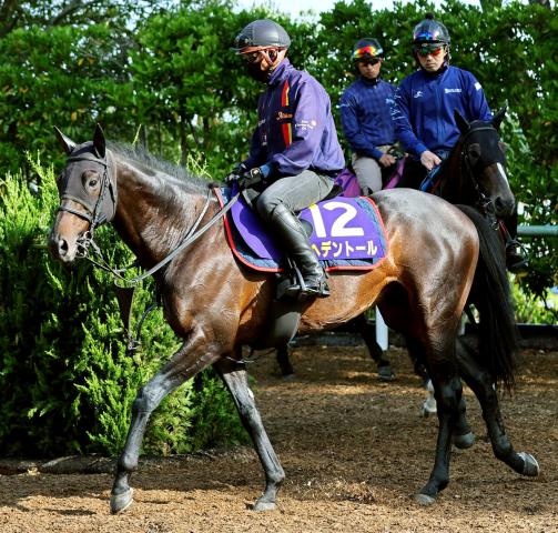 【天皇賞・春】前日最終オッズ　武豊騎手騎乗ショウナンラプンタなど単勝上位人気4頭のうち3頭が4歳馬　