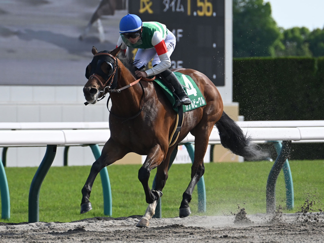 【ユニコーンS結果】カナルビーグルが抜け出し2連勝 今年開業の佐藤悠太師は重賞初出走でV