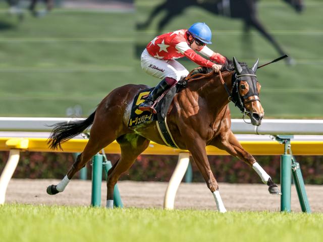 【スイートピーS結果】ルージュソリテールがオークス切符獲得
