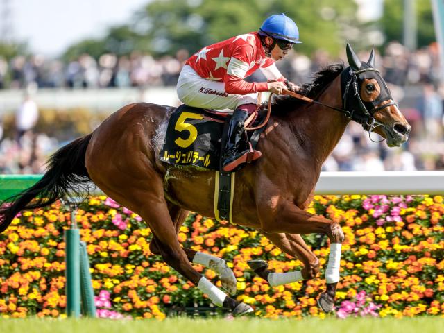 【スイートピーSレース後コメント】ルージュソリテール横山武史騎手ら