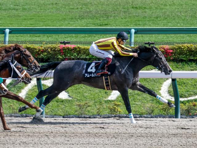 【是政Sレース後コメント】アムールドパリ横山武史騎手ら