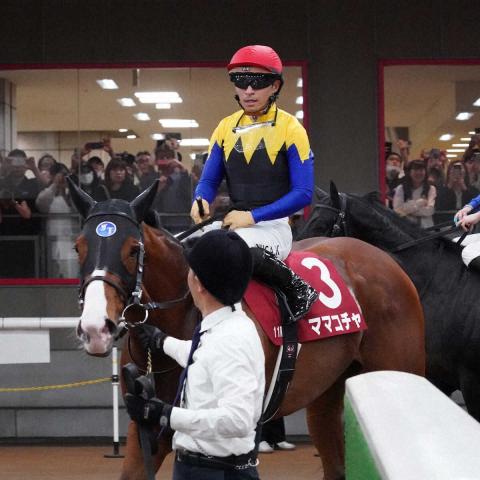【京王杯SC】ママコチャ　好位で運ぶも2着　池江師「1400メートルでもよく走ってくれた」