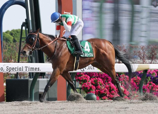 【ユニコーンS】カナルビーグル混戦制した!3月に開業、佐藤悠師が37歳誕生日に重賞初V