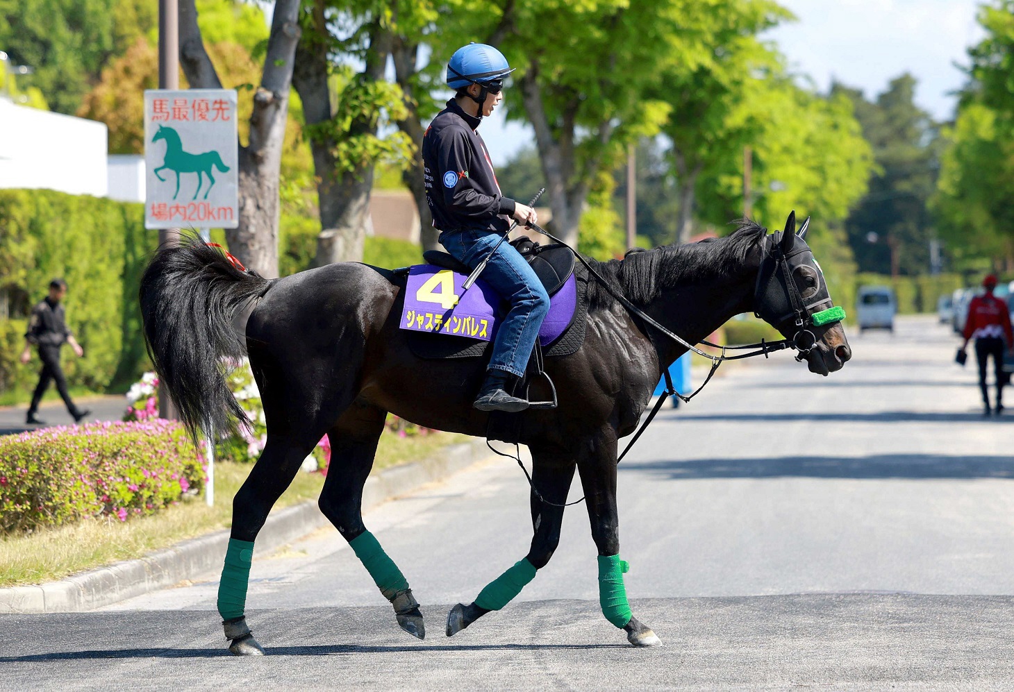 【天皇賞】ジャスティンパレス　好相性の京都芝３２００メートルに杉山晴師「スタートを決められれば」
