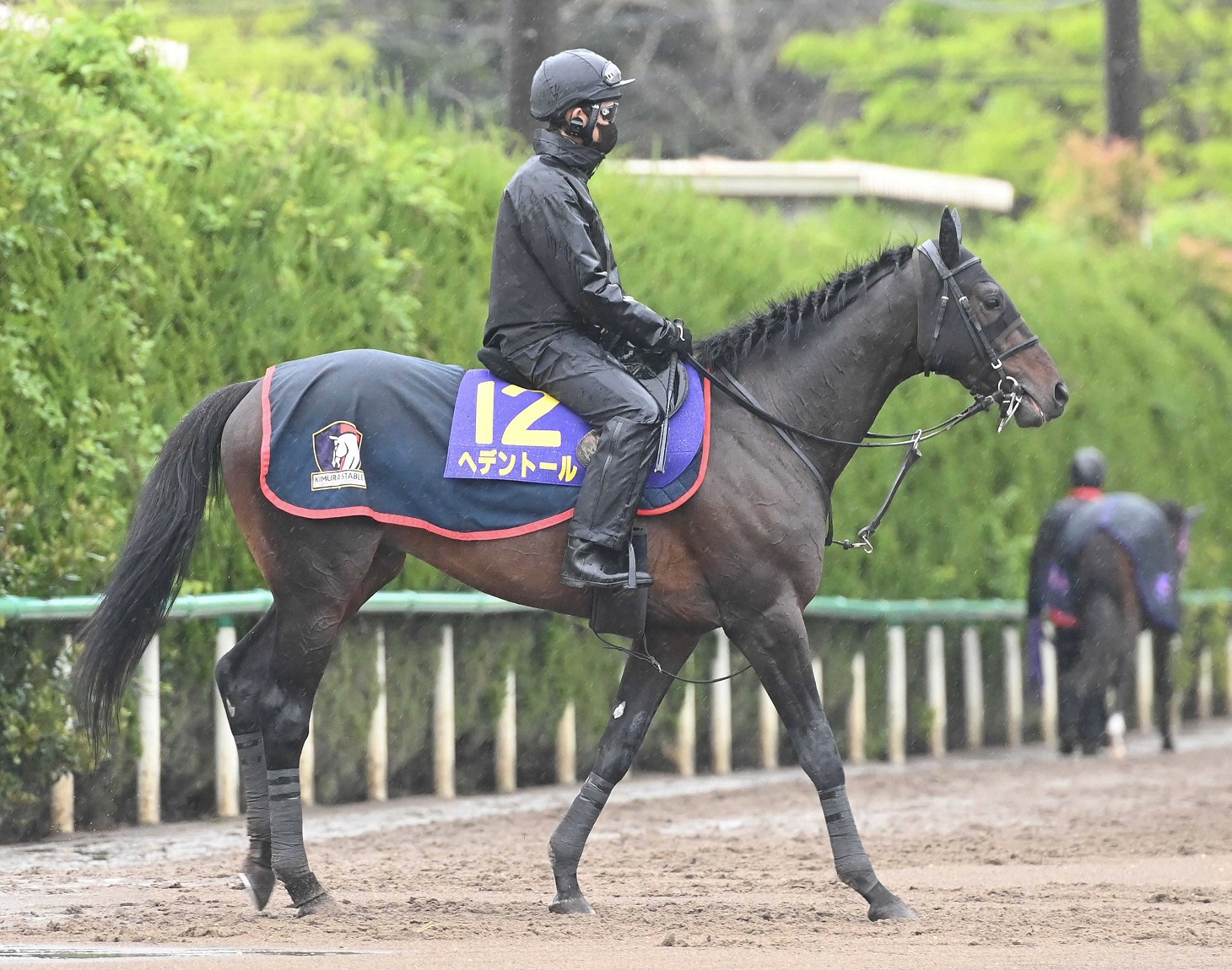 【天皇賞】ヘデントール　無事到着に陣営ホッ「２回目ということもあって、前回よりすごく落ち着いています」