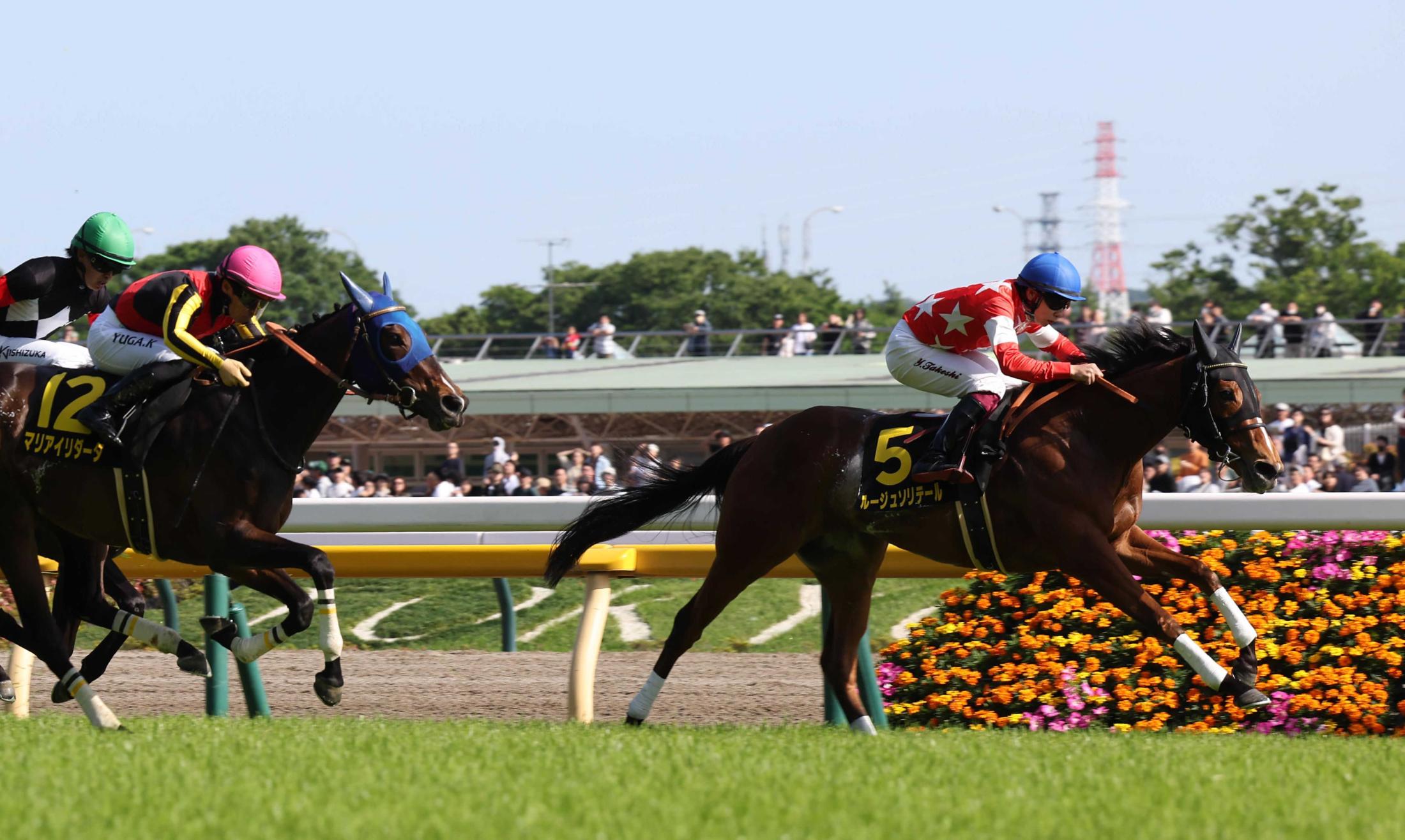 【スイートピーＳ】ルージュソリテール樫最終切符ゲット　直線抜け出し横山武「素晴らしい勝ち方でしたね」