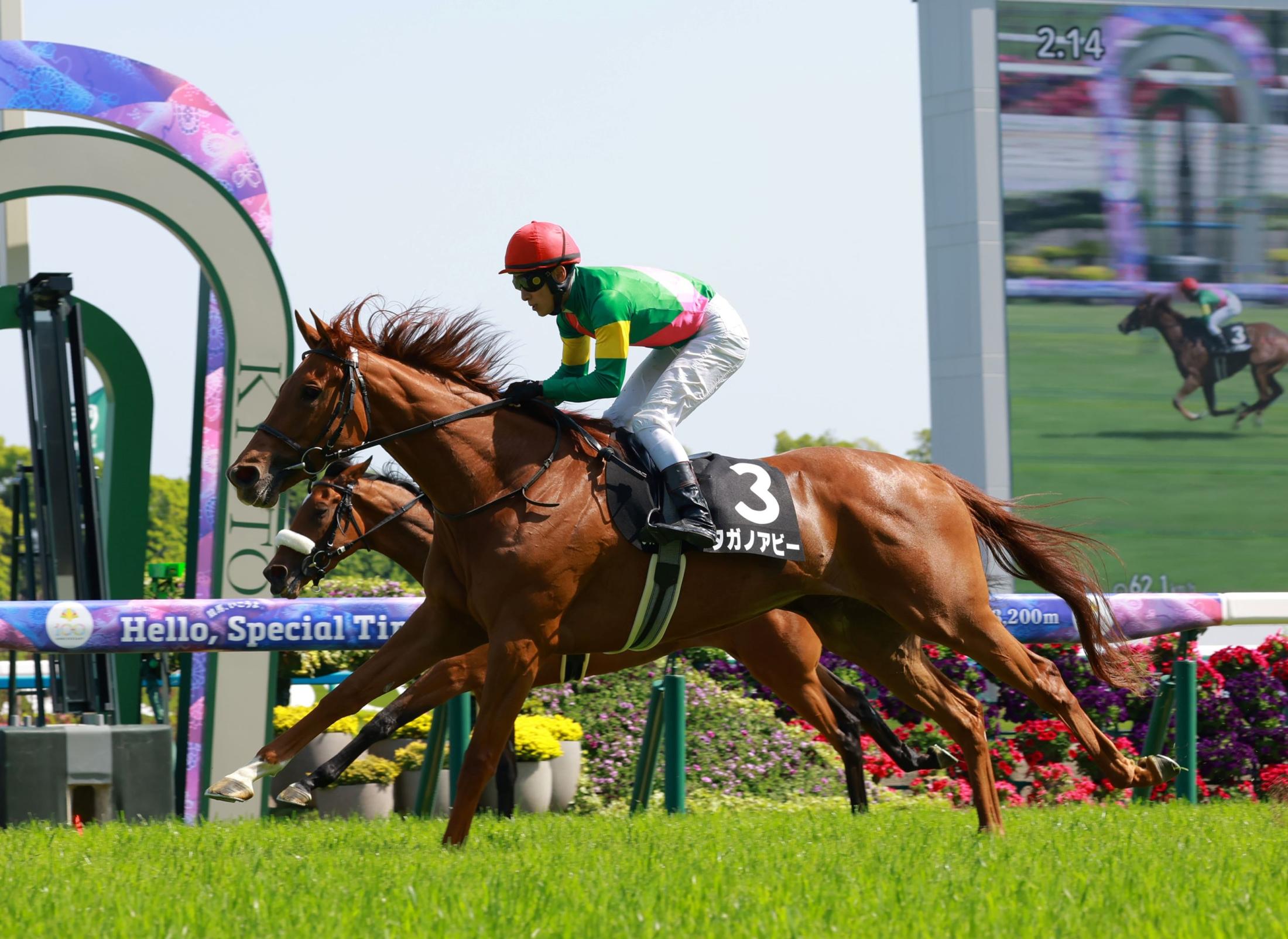 【矢車賞】タガノアビー鮮やか大外一気で差し切りＶ　上がり３Ｆ断トツ３３秒３！藤岡佑「一番切れると思って慌てずに」