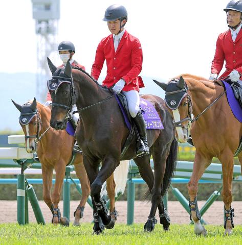 国内外で重賞4勝挙げた「プボくん」が誘導馬デビュー　調教役だった谷口助手と再会「感動…。こんな日が来るとは」