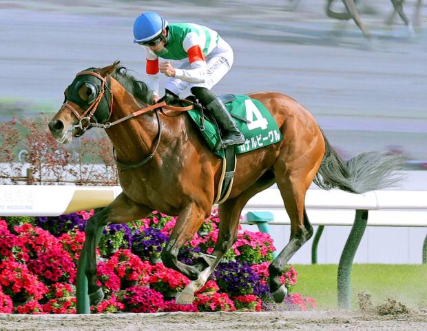 【ユニコーンS】開業2か月弱で重賞初挑戦V!37歳新人トレーナー喜び爆発「ジョッキーと馬が頑張ってくれた」