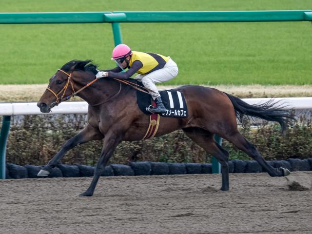 【ケンタッキーダービー速報】ソヴリンティが優勝