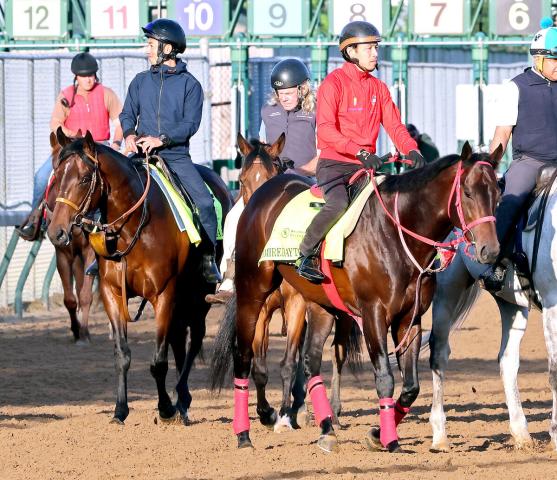 【ケンタッキーダービー】日本調教馬の快挙ならず　ルクソールカフェ、アドマイヤデイトナともに着外