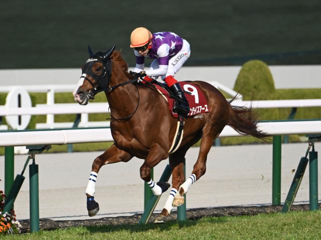 天皇賞（春）2025】馬場の有利不利、教えます！ 京都