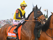 ケンタッキーダービーに出走したルクソールカフェ(c)netkeiba、撮影：Katsumi Saito