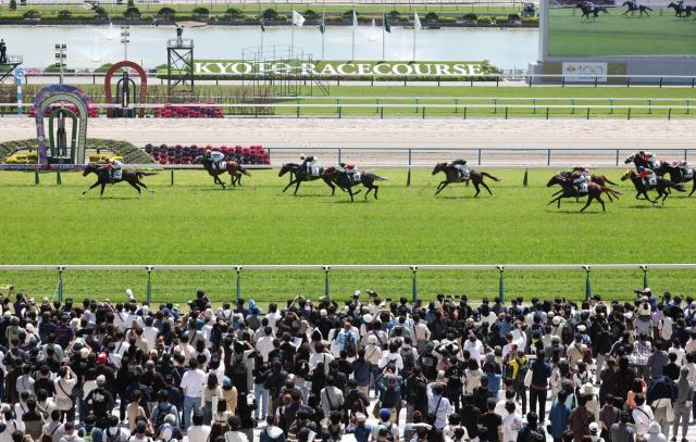 天皇賞・春の当日の京都・芝コースは差しも十分に利く馬場　息の長い末脚が光るハヤテノフクノスケが面白い