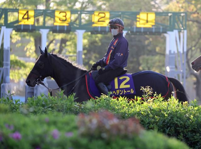 馬トク外厩情報からの推奨馬…天皇賞(春)・G1
