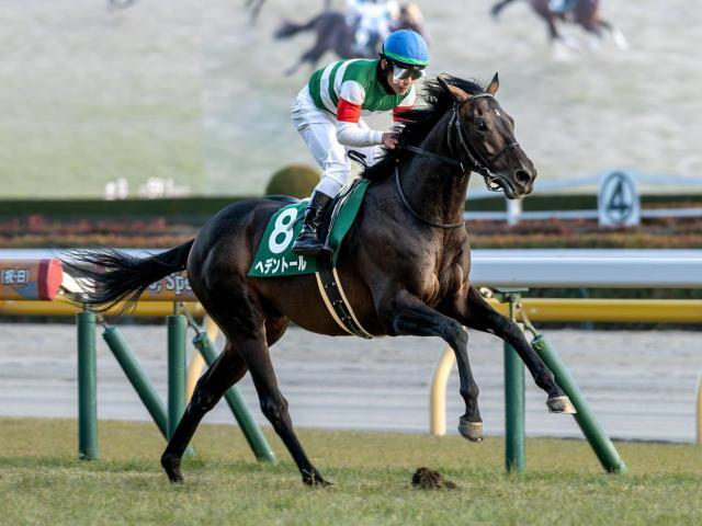 【天皇賞(春)・馬体重】ヘデントールは478kg(-4)、サンライズアースは530kg(+4)