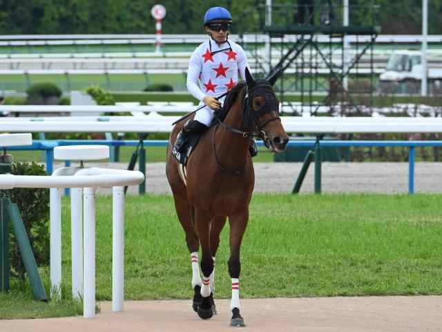 【島原特別レース後コメント】ミッキースピネル川田将雅騎手ら