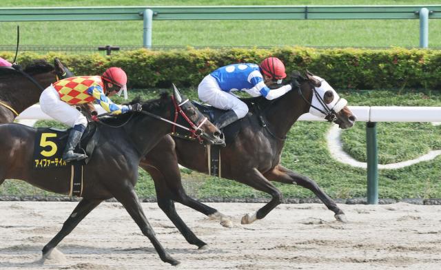 【東京10R・ブリリアントS】ディープリボーンがオープン初勝利　石橋脩騎手「いい馬に乗せてもらった」