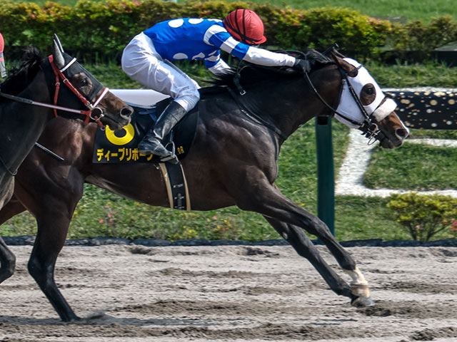 【ブリリアントS結果】ディープリボーンが追い比べを制しオープン初勝利