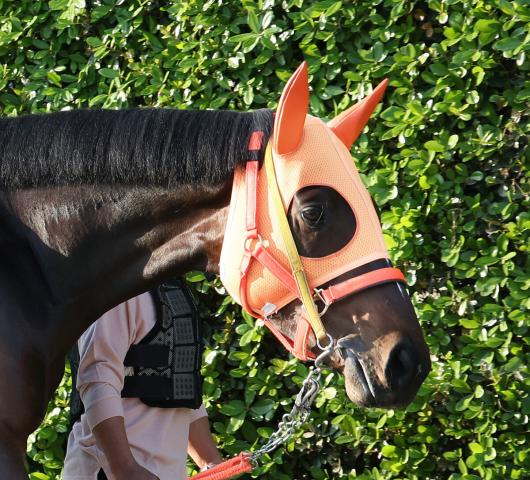 【天皇賞・春】“盾男”武豊騎手のショウナンラプンタは3着　キタサンブラック連覇以来のVならず