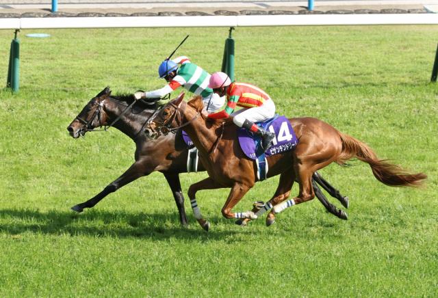 【天皇賞・春】ヘデントールが頭差の激闘制す「いいファイト」レーン騎手
