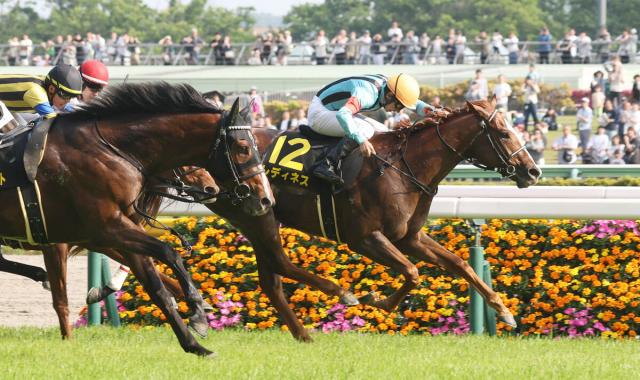 【プリンシパルS】3番人気のレディネスが“ダービー切符”を獲得　昆調教師「オーナーの夢でもありますし」