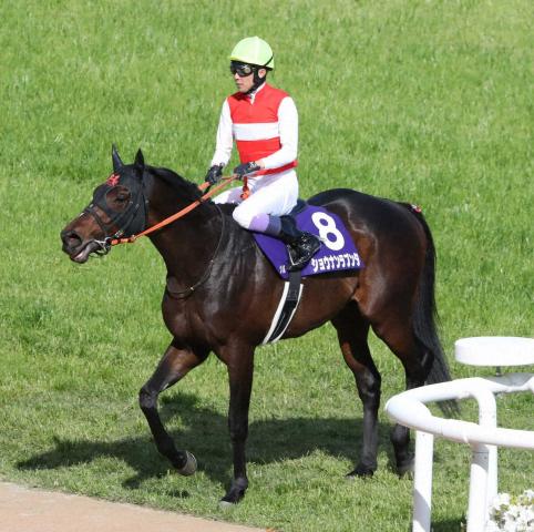【天皇賞・春】ショウナンラプンタ3着　武豊「4角でもう少しセーフティリードを」