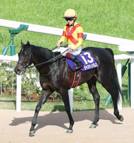 【天皇賞・春】2年前の覇者ジャスティンパレスは道中で押し上げるも6着「難しいレースになりました」鮫島克駿騎手