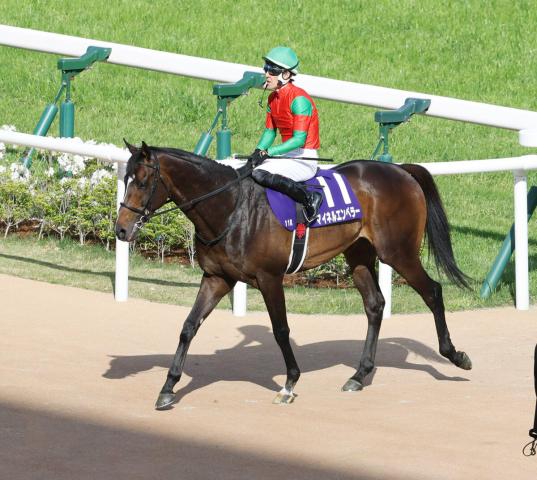 【天皇賞・春】マイネルエンペラー5着　丹内祐次騎手「持ち味を生かす、悔いのない競馬ができました」