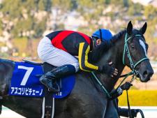 アスコリピチェーノらが登録(ユーザー提供：さくら独走さん)